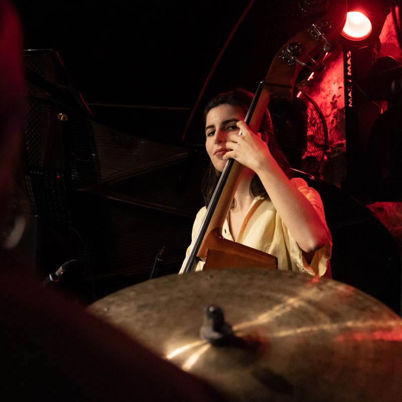 Meet Taller de Músics